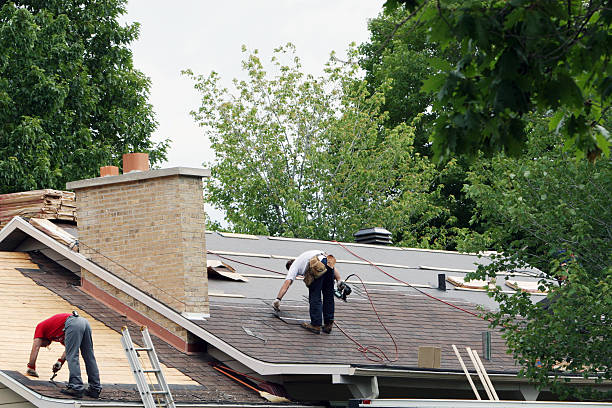 Best Local Roofing Companies  in Port Vue, PA