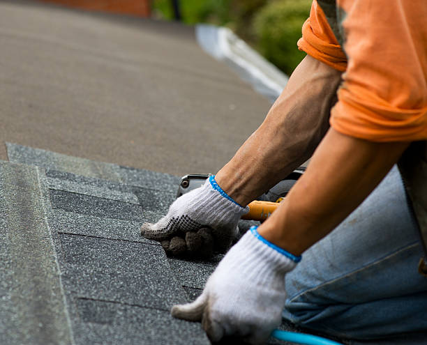 Best Roof Waterproofing Services  in Port Vue, PA